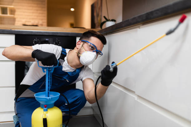 Best Commercial Pest Control Services  in Amsterdam, NY