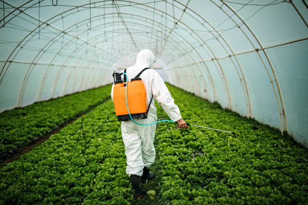 Reliable Amsterdam, NY Pest Control Solutions