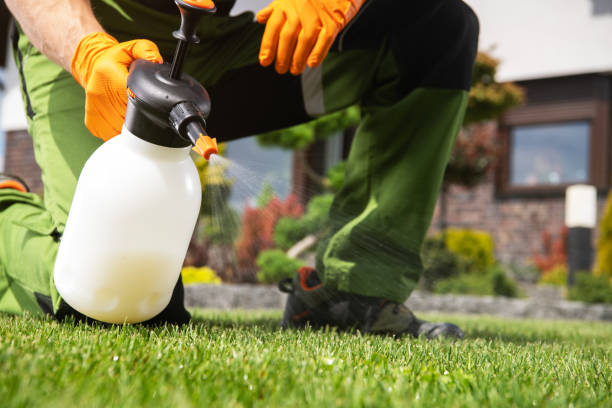 Best Termite Control Services  in Amsterdam, NY