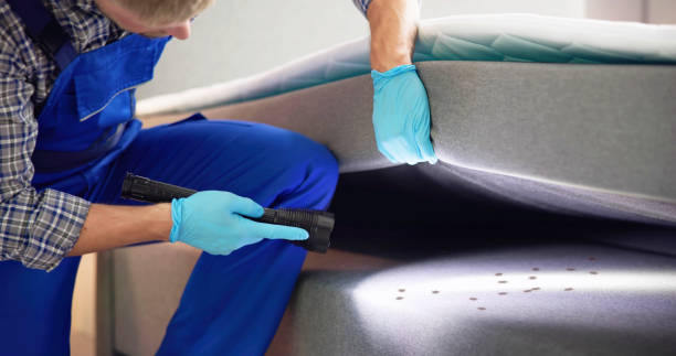 Best Local Pest Control Services  in Amsterdam, NY