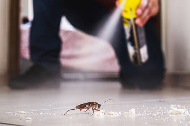 Best Cockroach Control Services  in Amsterdam, NY