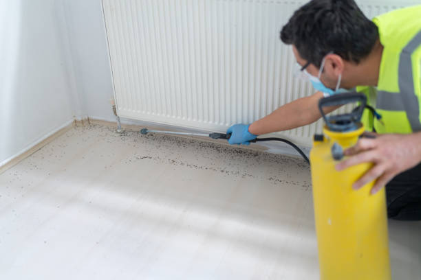 Best Bed Bug Extermination  in Amsterdam, NY